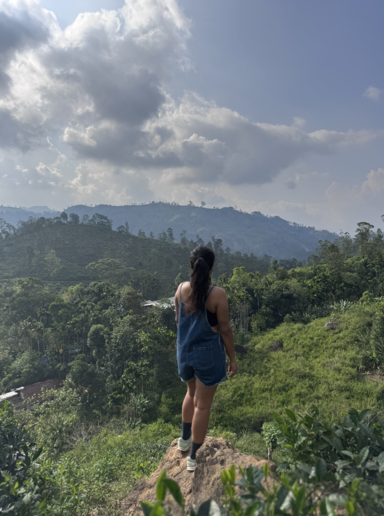 Read more about the article A Hiker’s Paradise Hiding in Plain Sight: The Pekoe Trail